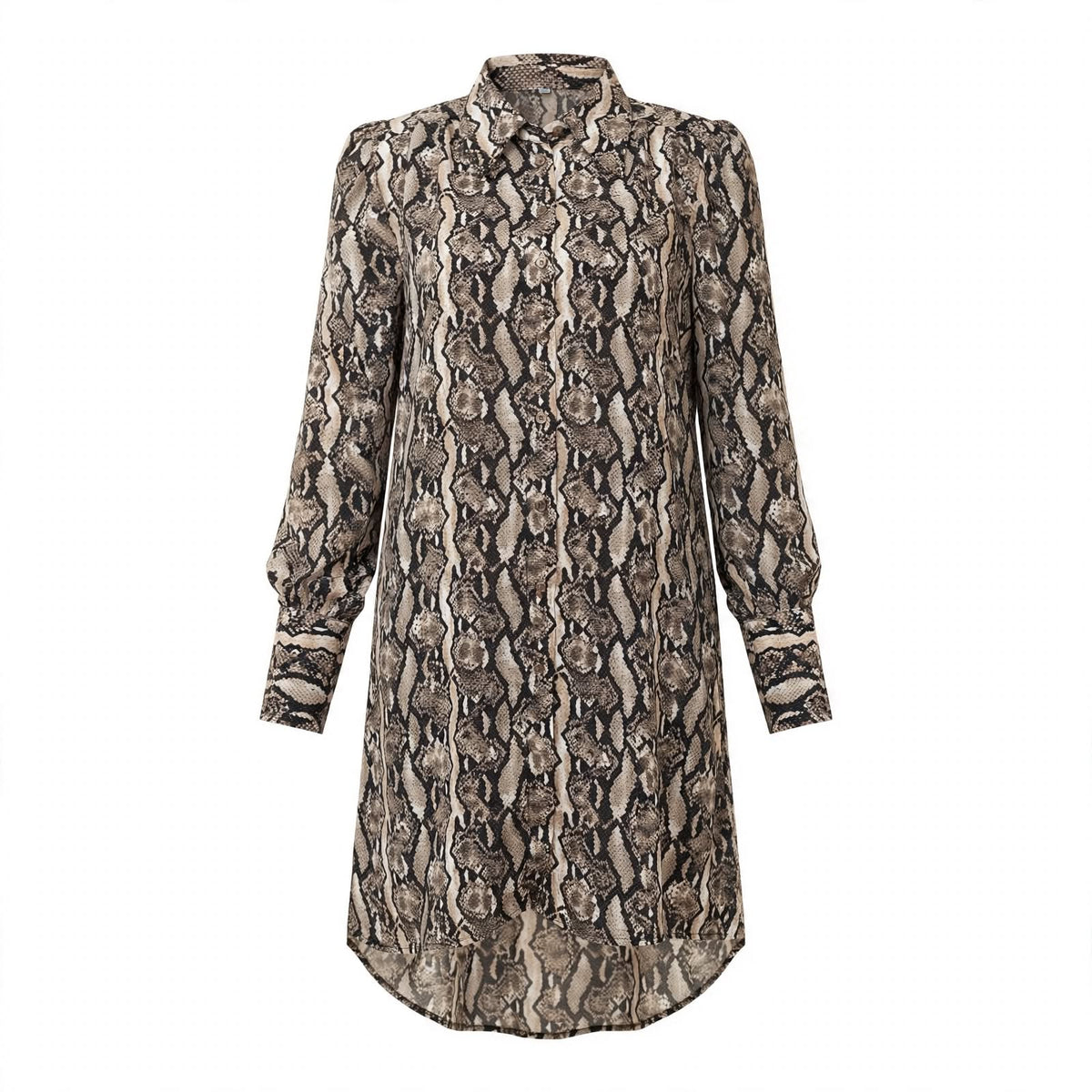 Beige snake print chiffon shirt dress with collar and dipped back hem